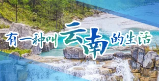有一種叫云南的生活